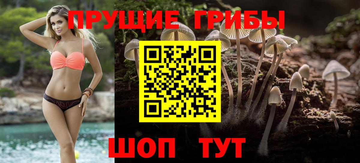 Псилоцибиновые грибы прущие грибы Ульяновск