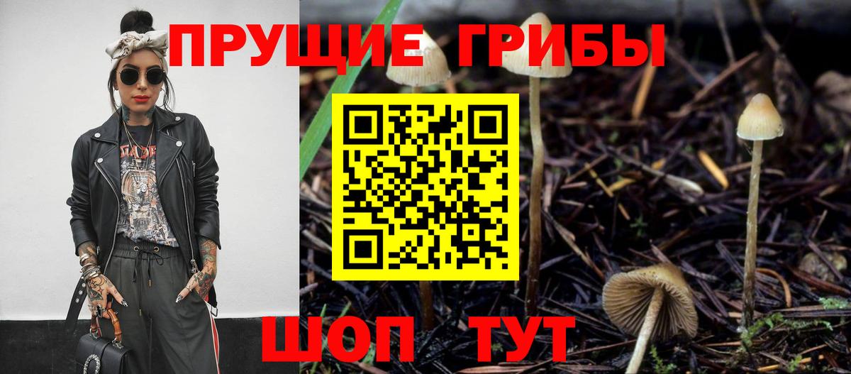 Ульяновск  Галлюциногенные грибы ЛСД  Вход с VPN 